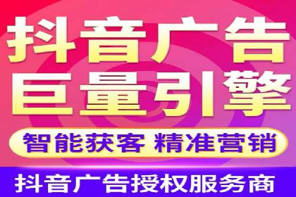 大型SEM服务公司案例分析